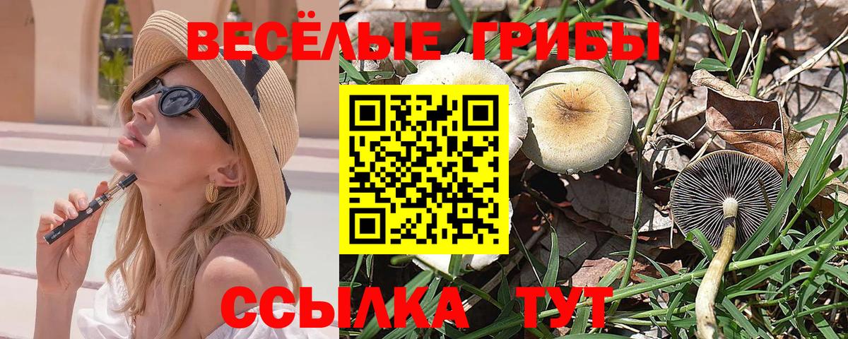 магазин продажи наркотиков  Галлюциногенные грибы прущие грибы  Вход с VPN  Псилоцибиновые грибы Cubensis  Ростов Великий 